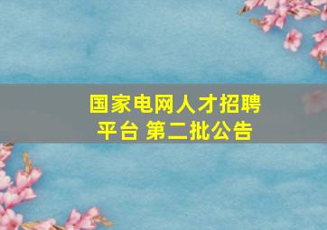 国家电网人才招聘平台 第二批公告